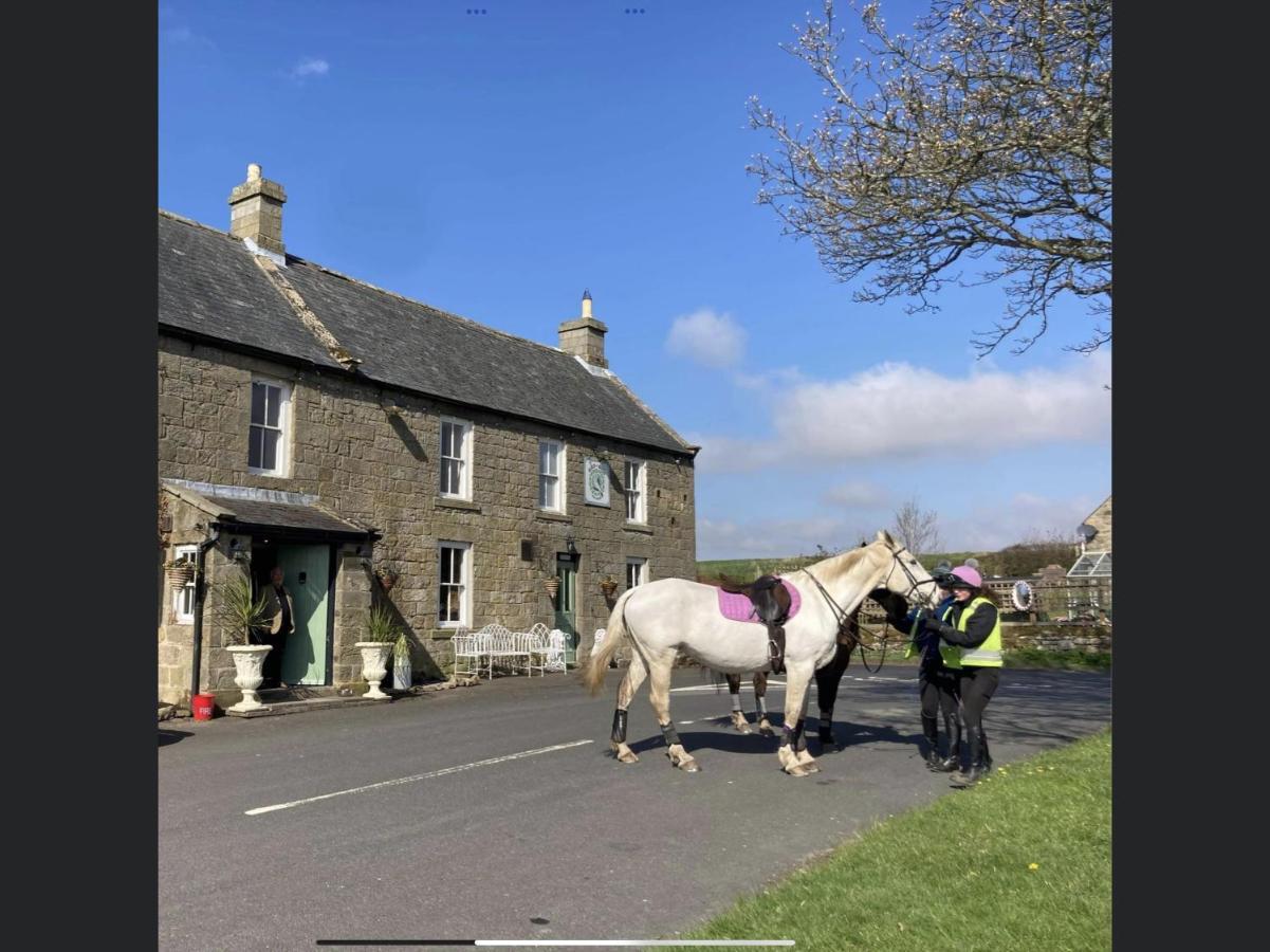 Bird In Bush Elsdon Hotel Exterior photo
